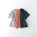 3Pack D.saint Stripe Short Sleeve Cotton Tee  — Kids